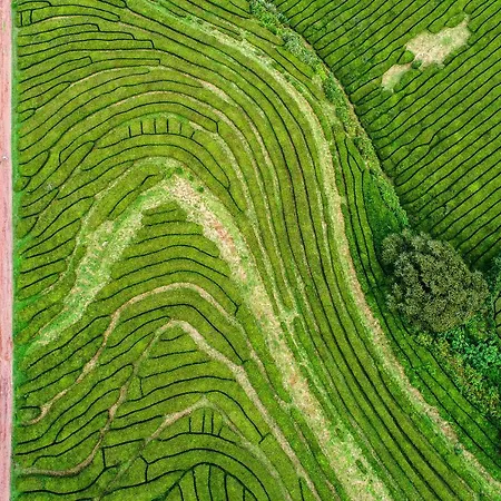 Casa de Férias Casa Do Pêro De Teive Ponta Delgada