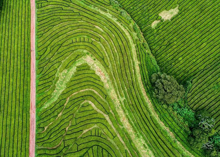 Tatil Evi Casa Do Pero De Teive Ponta Delgada